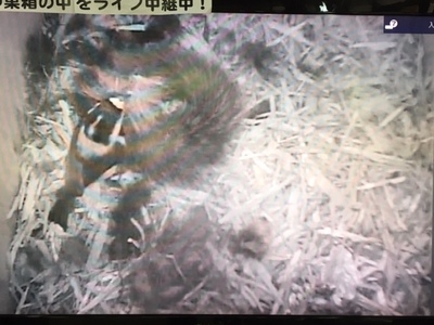 image3 (30).jpeg