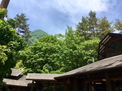 image3 (31).jpeg