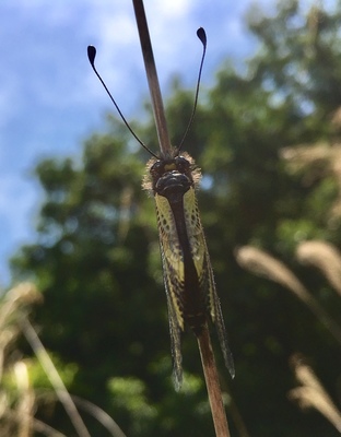 image3 (32).jpeg