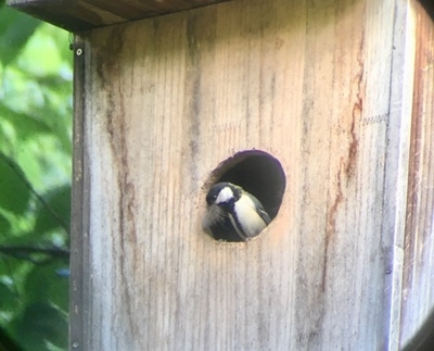 image3 (34).jpeg