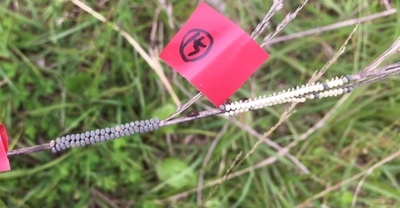image3 (36).jpeg