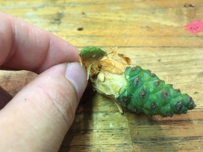 image3 (43).jpeg