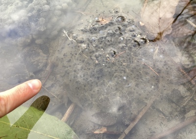 image3 (44).jpeg