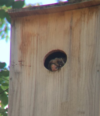 image3 (6).jpeg