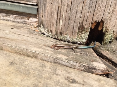 image4 (20).jpeg