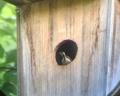 image4 (21).jpeg