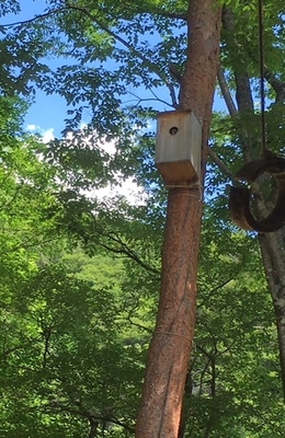 image4 (3).jpeg
