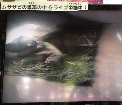 image5 (11).jpeg
