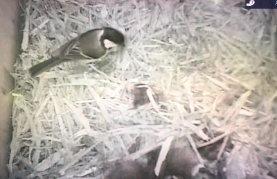 image5 (9).jpeg